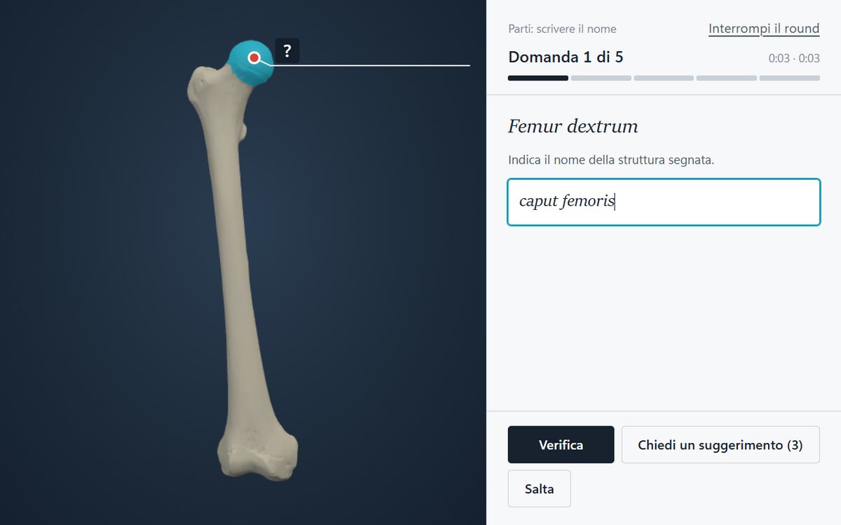 Schermate dell’app: viene indicata una parte di un femore, lo studente scrive il nome latino caput femoris e l’app conferma la risposta, con la pronuncia e il nome italiano.